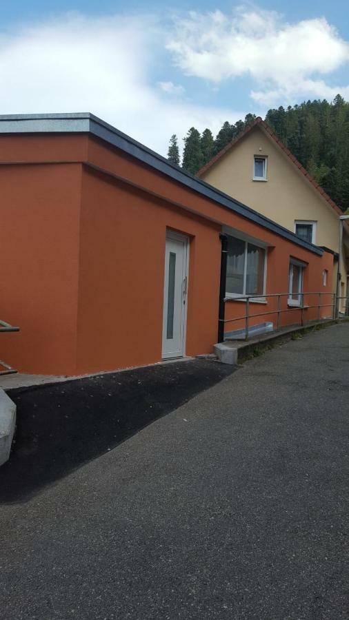 Qm Apartment Triberg im Schwarzwald Exterior photo